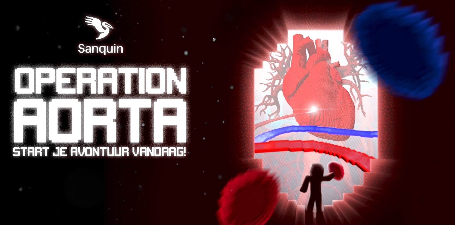 Sanquin Operation Aorta The Invaders case Minecraft World